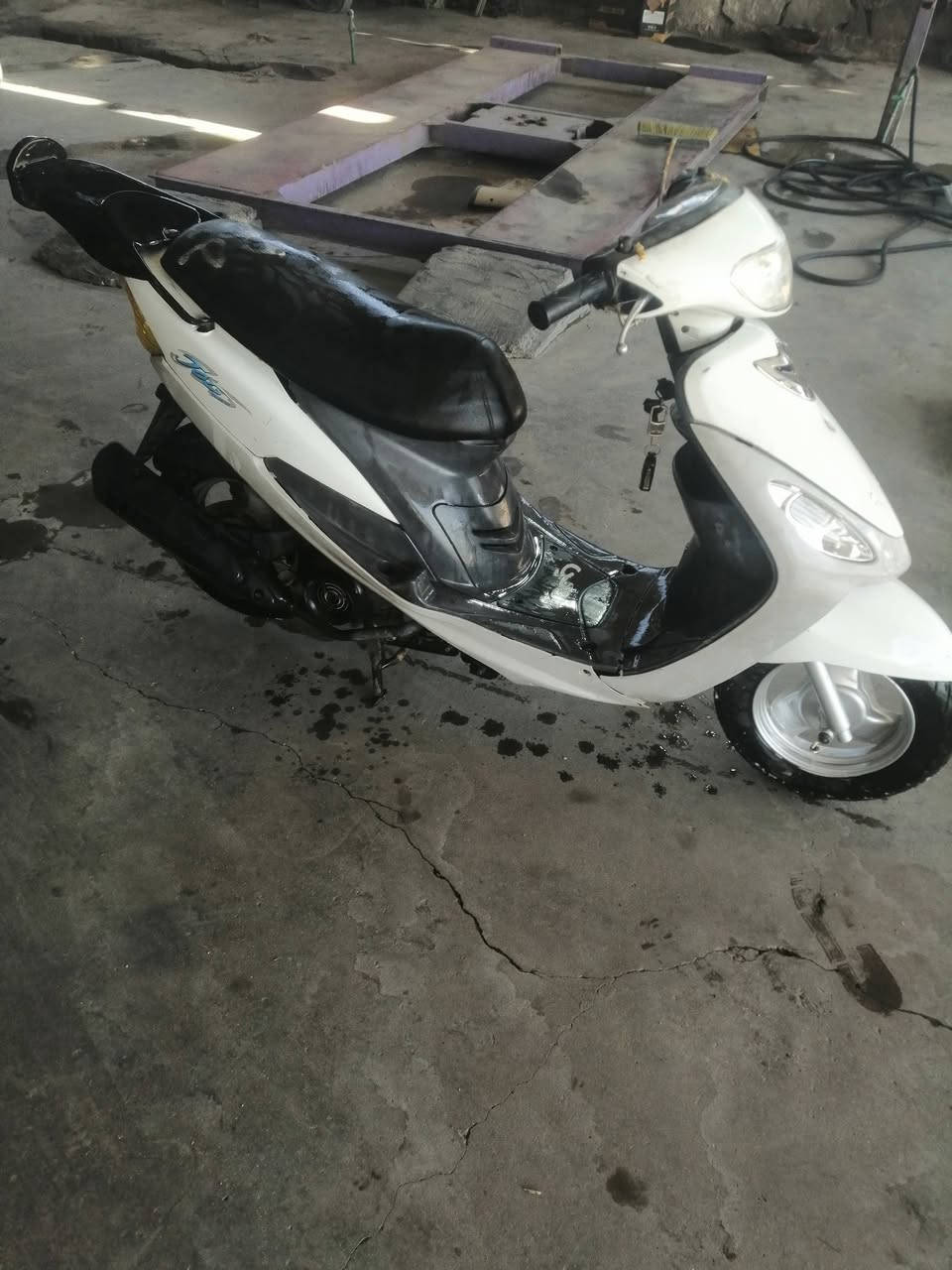 للبيع ماكس مغولي حاويه السعر خاص *********** واتساب
