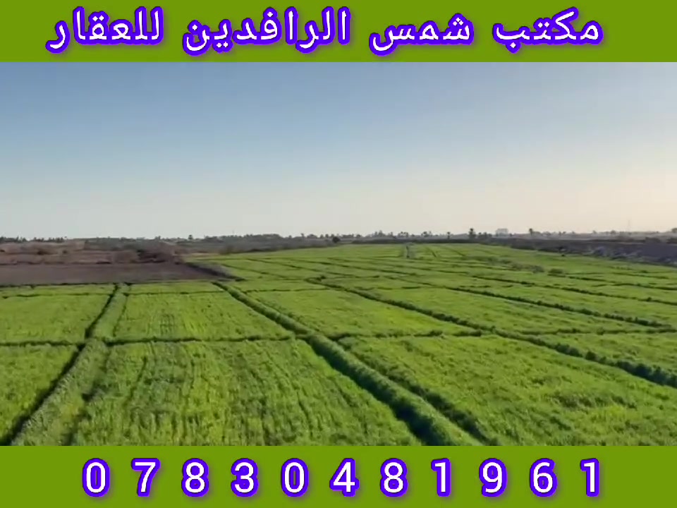 ✨ فرصة استثمارية مميزة للبيع في الرمادي – جزيرة البوعبيد ✨

📍 موقع هادئ ومناسب للاستثمار أو السكن الريفي

🔹 المساحة: 16 دونم
🔹 نوع العقار: طابو زراعي (تحويل مباشر)
🔹 السعر: 25 مليون للدونم

💡 مميزات العقار:
✔ مناسب لإنشاء مزرعة متكاملة 🌴
✔ يصلح لمشروع استثماري مربح 📈
✔ منطقة هادئة وقابلة للتطوير
✔ فرصة ممتازة بسعر منافس

ـــــــــــــــــــــــــــــــــــــــــــــــــــــــ

📍 للمزيد من التفاصيل يمكنكم زيارة مكتبنا:

مكتب شمس الرافدين للعقار   – الرمادي / طريق الثرثار قرب الطاحونة

📞 أرقام التواصل

‏‪***********‬‏   ( واتساب )

*********** 

✨ نرحب بكم دائماً لزيارتنا والاستفسار عن أي عقار يناسبكم.
🟡 رضاكم هو أهم أهدافنا التي نسعى إليها دائماً 🟡
