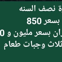 عمرة نصف السنه • طيران • قضاء المحاويل