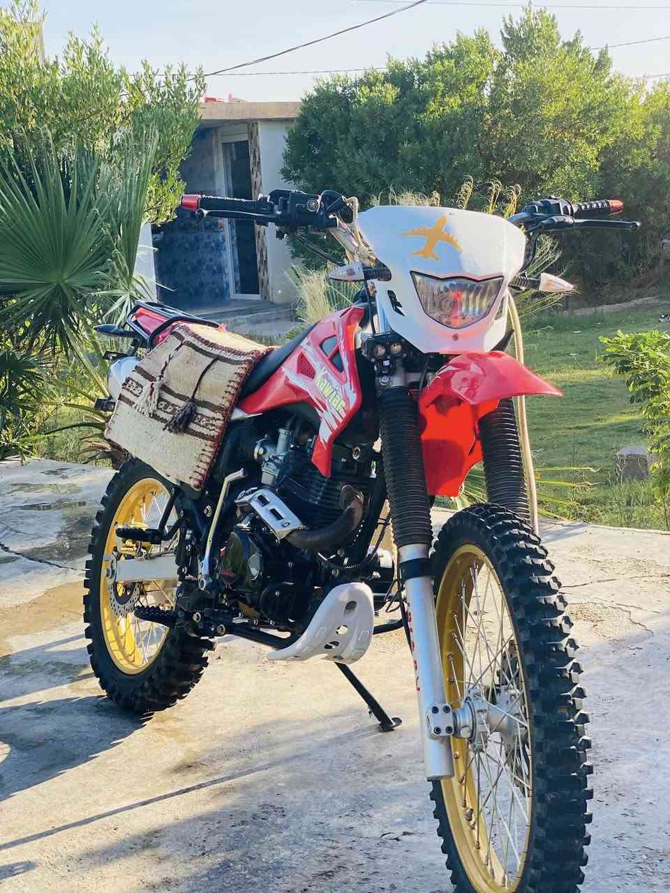 السلام عليكم قفاز موديل24 للبيع ما بيه اي نقص سعر واحد وميه او للمراوس بيراني رقمي للتواصل***********
