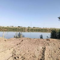 النعيمية • ٣ دونم • واجهة شط ٤٠م