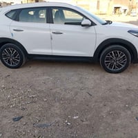 توسان ٢٠٢٠ • ٧٠٠٠٠ كم • كربلاء