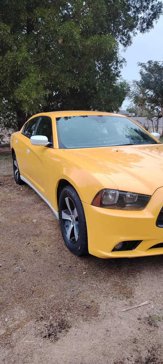 سلام عليكم جارجر موديل 12رقم انبار حادثه بابين وجاملغ خلفي طخه بصيطه مكينه حاويه كير جديد حداديه امامي خلفي جديده تخم تاير جديد منظومه تبريد جديده من الاخير السياره ماعيزه اي شي تحويل مباشر السعر 140 وبيه مجال رقم موبايل ***********
