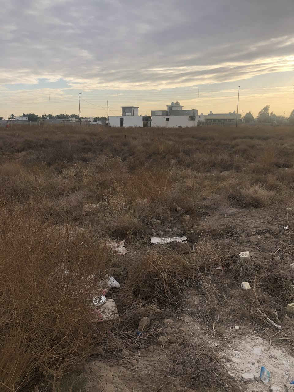 السلام عليكم قطعه ارضي زراعي 
سند ٢٥
في منطقه هور رجب بالمنتجع السكني 
تفاصيل اكثر لاتصال 
***********
***********
