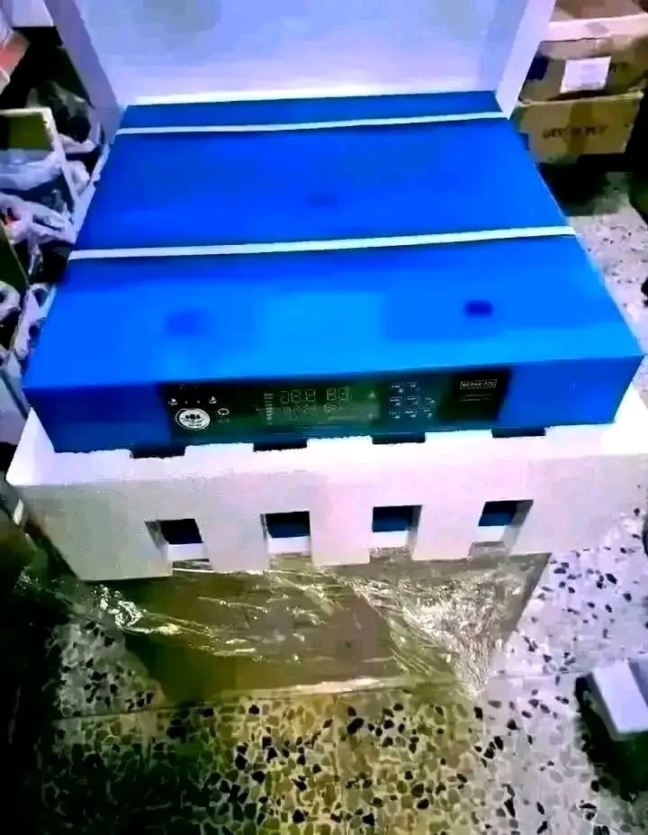 خاص لفترةةة محدودةةة
مشروع صغير بتكلفه بسيطه تربيه الدواجن هوايه جميله بارباح جيده يتوفر لدينا( مفاقس جودة عاليه و أرخص الاسعار
فقاسات فول ئوتوماتيك لتفقيس بيض الدجاج و البط و الوز و الديك الرومي وجميع انوع الطيور.    

متاح....احسن نوع فقاسات  فول اوتوماتيك وبنسبة تفقيس  اكثر من 98٪‏
مايحتاج كهرباء مستمر 
الان فقاسه اوتوماتيكية وتشتغل باتري وكهرباء 
ضمان 3 شهر
اسعار

فول اوتوماتيك
1️⃣حراره اوتوماتيك
2️⃣رطوبه اوتوماتيك 
3️⃣تقليب اوتوماتيك 

_دجاج 🐓
_سمان 🐤
_قبج  🐔
_بش 🦆 
_بط 🦢 
_وز  🦢
_فسيفس 🦃

تشتغل على 7انوع من البيوض 

مفاقس سمارت الذكية
  تكدر تتحكم بي عن طريق الوي فايف 

 مضمونه  مئه بلمئه ومجربه 

ضمان 3اشهر

1مفقس 26بيض بسعر 105الف 

2مفقس64بيض بسعر 210الف

3مفقس128بيض بسعر270الف

 المفقس   یشتغل  باتري وكهرباء وتحويل تلقائي

توصيل لكل محافضات 7الف للحجز ارسل رقم ولعنوان عل خاص  احجزلك  او اتصل
***********
