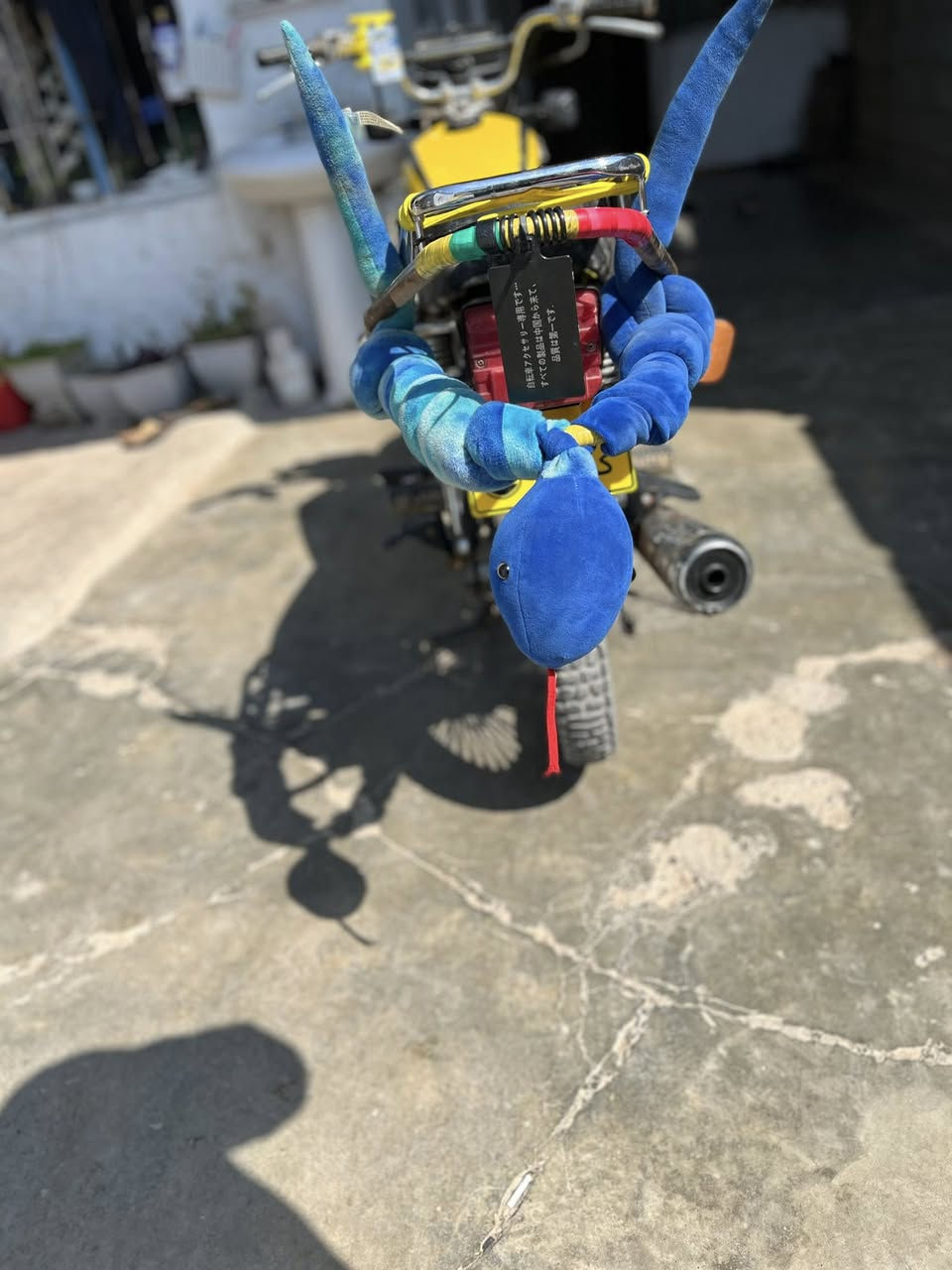 مطور لبيع نامي برو  هندر واحد صوت ناعم موديل2021 نشاط فولالسعر375وبي مجال
@


**إذا كنت صاحب هذا الإعلان وتريد حذفه لأي سبب، رجاءا أرسل رسالة إلى الدعم الفني**