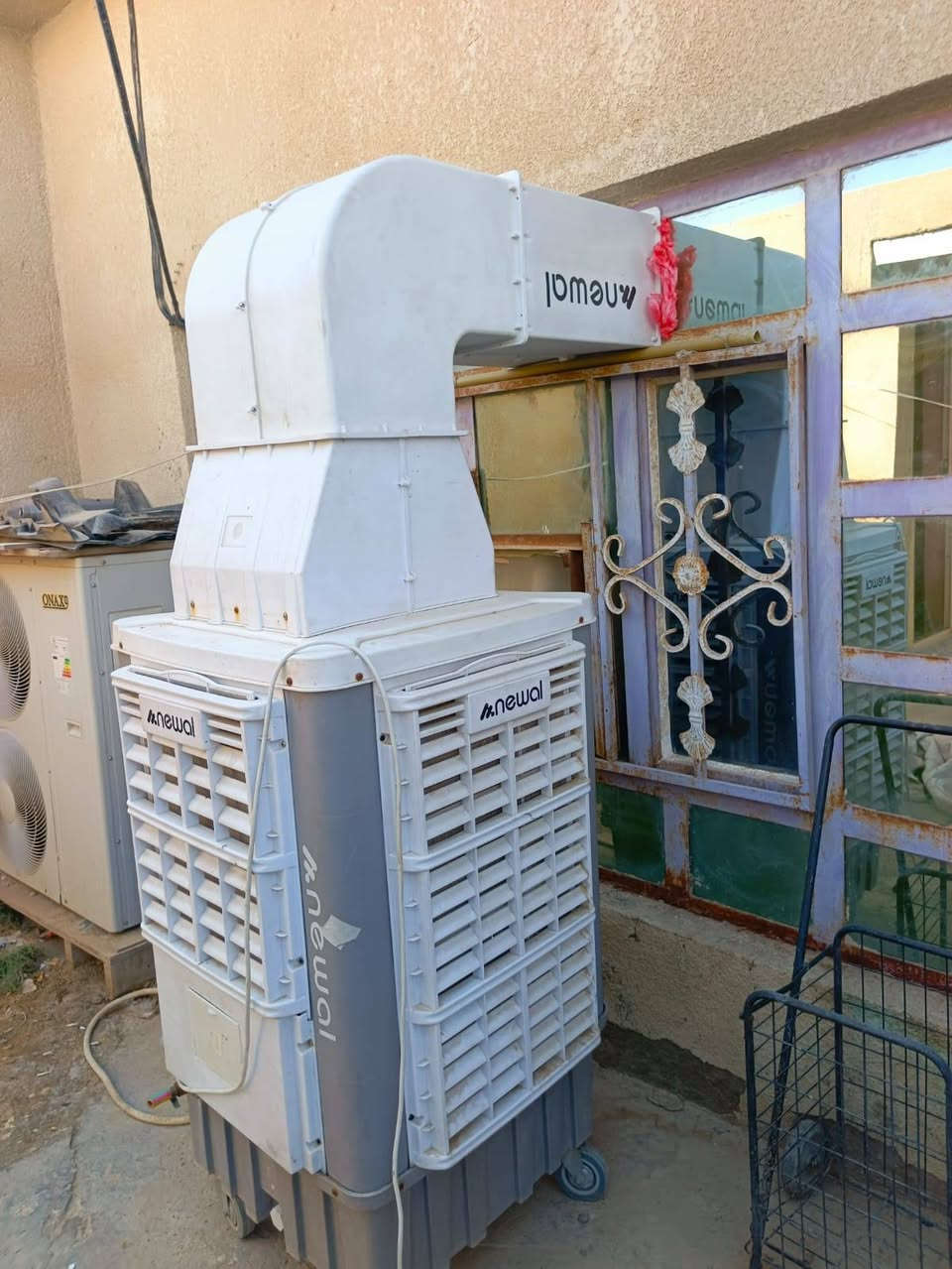 اخوان هاي مبرده البيع السعر ٢٢٥وبيها مجال الاستفسار اتصل*********** كربلاء, العراق
