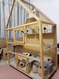 قفص نضيف • ١٠ بيوت حب • ٥ بيوت فنجس