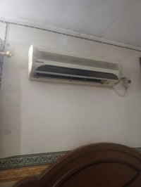 شغالا • ع فحص • نجف