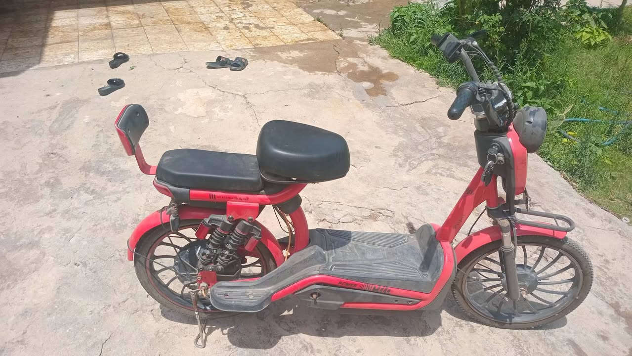سلام عليكم دراجة شحن جديدة نقصهة فقط بطاريات بطاريات البيهة تعبانة المكان نيل


**إذا كنت صاحب هذا الإعلان وتريد حذفه لأي سبب، رجاءا أرسل رسالة إلى الدعم الفني**