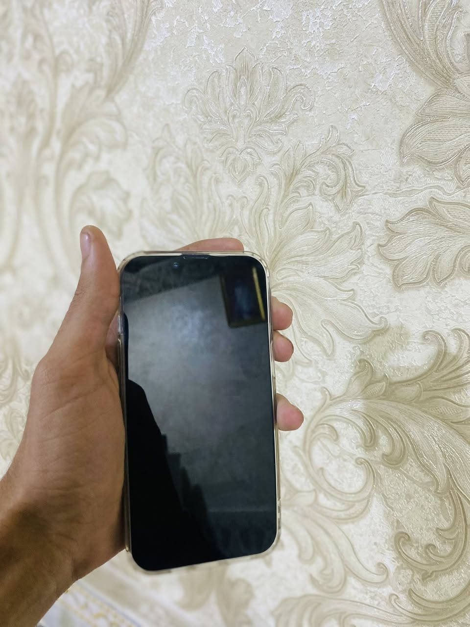 السلام عليكم ايفون 13 كامل ملحقات شاحنة وكرتون وتر برو جهاز نظيف ما مستبدل أي قطعه شرط فحص حاسبة بطارية 80 ذاكرة 128 فيس إيدي شغال جهاز شحنة يخبل تجي وتشوفه بعينك كارتونه والشاحنة وياه سعر  380 بي مجال بسيط كلش تواصل ***********
