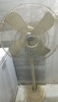 يو بي اس • قاعات كبار • علا الفحص