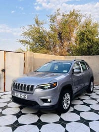 جيب بزون • ٢٠١٩ • حادث صبغ