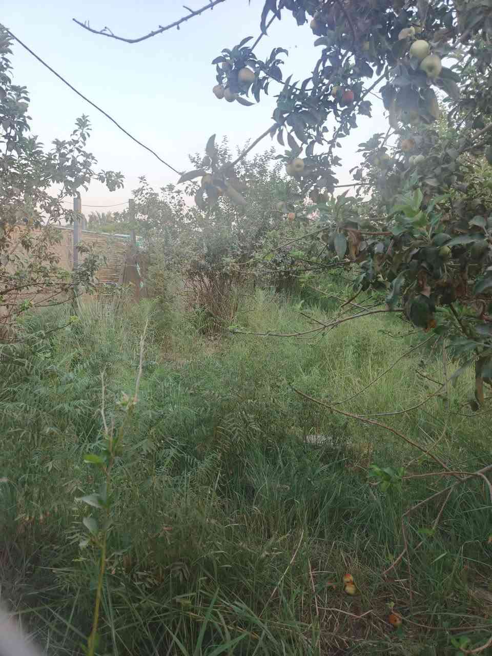 سلام عليكم للبيع نصف دونم سند 25 تحويل مباشر بسم المشتري بغداد الراشدية قرية العراكنة تبعد عن ناحية ربع ساعة وعن شارع العام طريق بغداد كركوك 2 كيلو واجه 25 نزال 50 السعر 90 وبي مجال للشراي موقع جدا حلوو كهرباء ماء سقي ماء اساله تصلح سكن او مزرعة  ***********
