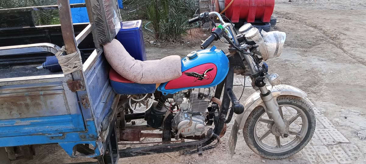 ستوته مراوس سايبه حسب قناعه لعنده يطب خاص جهاز ستوته من كل نواحي


**إذا كنت صاحب هذا الإعلان وتريد حذفه لأي سبب، رجاءا أرسل رسالة إلى الدعم الفني**