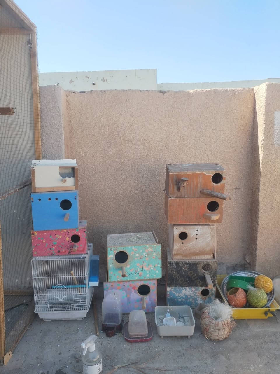 متاح/بابل/الحمزه الغربي/***********
