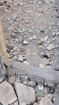 قطعة أرض زراعي  200 متر الواجهه 10 وهيكل أيضاً للبيع 80 متر الواجهه 4 متر ونزال 20 قرب سيطرة سبع قصور 
***********
