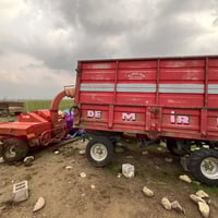 مكينة عربية • 2018 • للبيع