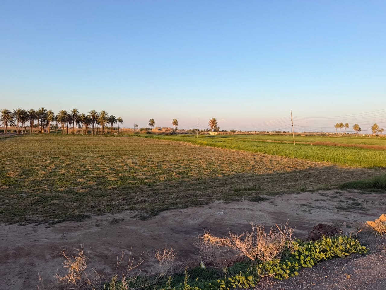 4 دونم من السده الى الشط في الرمادي زنكورة للبيع🌊🌿

للبيع أرض مميزة جداً بموقع استراتيجي وإطلالة ساحرة، تمتد من السدة وصولاً إلى حافة الشط.

📍 الموقع: الأنبار - الرمادي - منطقة زنكورة (قبل مزرعة الشيخ إحسان).

📐 المساحة: 4 دونم طابو زراعي .
📏 الواجهة: 40 متر على السده والشط
📑 التفاصيل القانونية: طابو زراعي - سند 25.

المميزات:

✅ إطلالة مباشرة وخلابة على نهر الفرات.
✅ خدمات كاملة متوفرة (كهرباء، طرق، وصول سهل).
✅ الأرض مثالية لتكون: (مزرعة خاصة، مشروع استثماري، مشروع زراعي، أو سكني خاص).

لا تفوت فرصة الاستثمار في أجمل مناطق زنكورة حيث الهدوء والطبيعة والخدمات.

عقارات زنكورة: خياركم الأمثل للاستثمار الناجح.

لديك عرض أو استفسار؟ لا تشيل هم! 💬
فريقنا بانتظار تواصلكم للرد على جميع طلباتكم بكل اهتمام.
📲 اتصل أو أرسل لنا عبر الأرقام:
***********

🏛️موقع المكتب ⏬️⏬️
أو زيارة موقعنا :  الرمادي_ ناحية اليرموك (زنكوره سابقاً)_ المفرق  /مقابل جامع هادي البشير (البمرعي)

#مكتب_عقارات_زنكورة 🕹️
 #ناحية_اليرموك_زنكوره_سابقاً 

#الأنبار #الرمادي #زنكورة #عقارات_الأنبار #أراضي_للبيع #استثمار_زراعي

