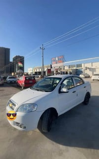 آفيو • ٢٠٠٩ • أربيل