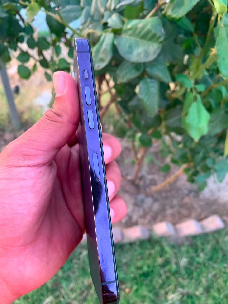 ايفون 14 برو ماكس
ذاكرة 256
بطارية 85
مبدل شاشه اصليه شرط 
شرط فول نظافه
مراوس أب 13برو ماكس او للبيع 600 او بي مجال
***********
