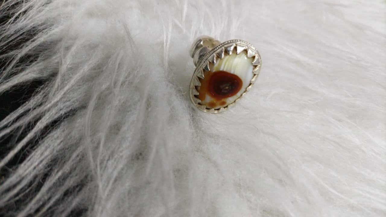 للبيع خاص


**إذا كنت صاحب هذا الإعلان وتريد حذفه لأي سبب، رجاءا أرسل رسالة إلى الدعم الفني**