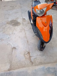ماكس عدلة • بوشة • ٥٥