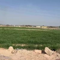 كربلاء • ٤ دوانم • ١٠٠٠٠م