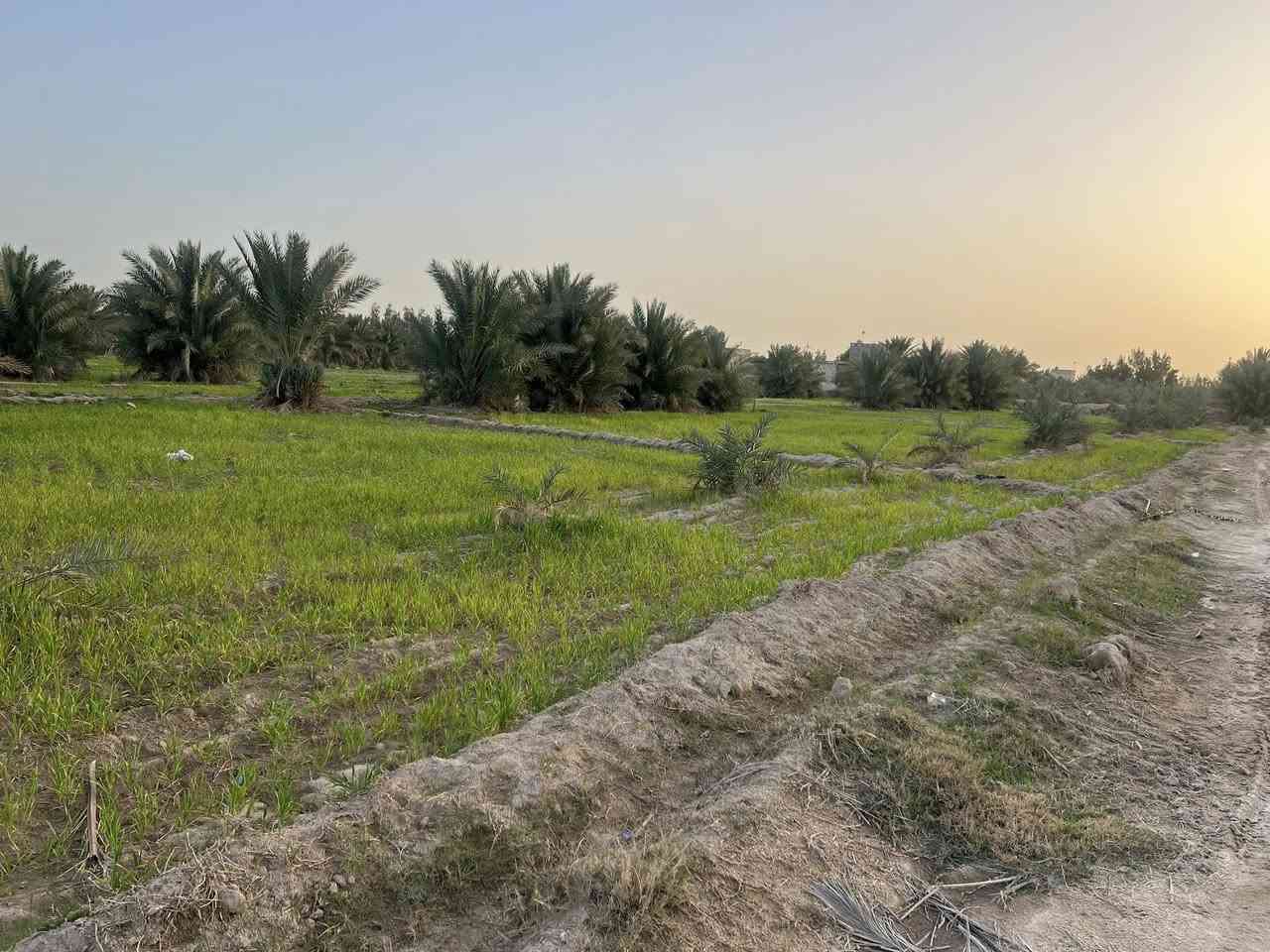 ارض طابو سند 25 (للبيع )   مساحه 19 دونم  
مكان الأرض النجف أبوصخير خلف حي الصناعي او خلف حي البلديات 
تباع كاملتاً او خمس دونم منها 
هذه الأرض تتوفر فيها الخدمات كاملة مثل ما سقي وما اسأله وكهرباء وطريق رئيسي والمنطقة سكنية وزراعية في نفس الوقت 

سعر الدونم 55 مليون 
للاستفسار  

***********                 ومن الله التوفيق لنا ولكم ….￼
