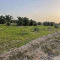 سند طابو • ١٩ دونم • أبوصخير