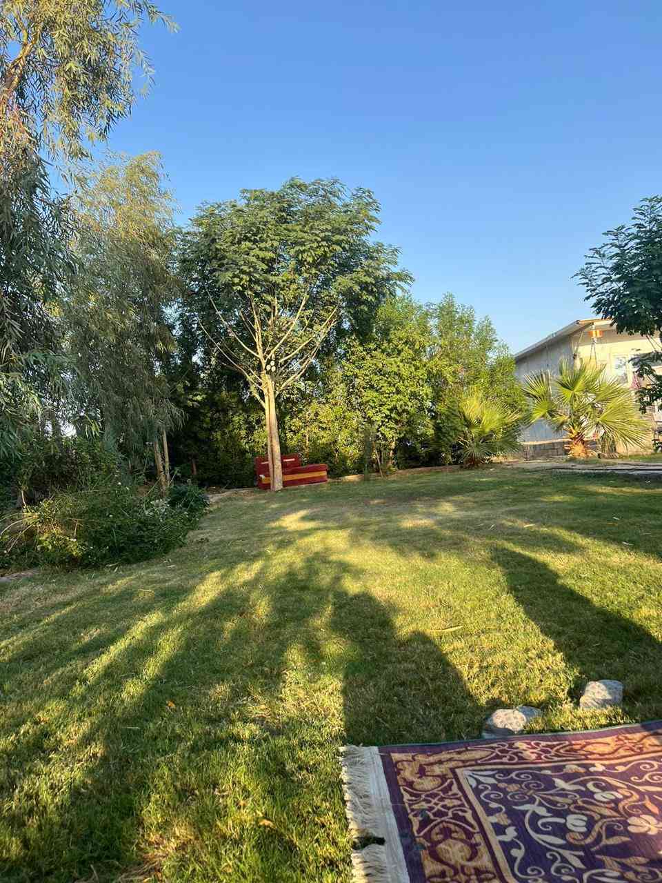 مزرعه للبيع المكان واسط الكوت في منطقة الداحره مطبع على نهر دجلة تحتوي على دار سكن ١٠٠متر مربع ومراجيح ألعاب للأطفال ومكان لركن السيارات مساحة المزرعه ٣٠٩٤ يكون فيًبداية المزرعه بستان وتحتوي على ثلاث حدائق حديقه خلفيه واثنان اماميه مزوده بأماكن للشواء وبلاج حجر من جهة الشط تصلح المزرعه للأستثمار السياحي أو السكن للأستفسار الأتصال على الرقم *********** وجه المزرعه ٢٤ متر ونزال ١٤٦ متر
