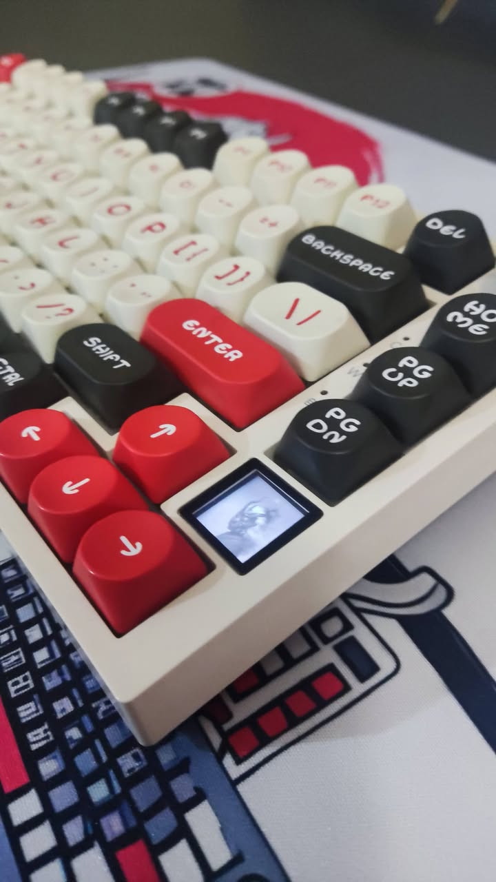 كيبورد ajazz ak820 pro للبيع مستعمل
الكيبورد مو امزون وضمانه لنهاية الشهر السابع ويخلص 
اللون وشكل الكي كابز مميزات 
اغراض الكيبورد كاملات ما بيهن اي نقص


**إذا كنت صاحب هذا الإعلان وتريد حذفه لأي سبب، رجاءا أرسل رسالة إلى الدعم الفني**