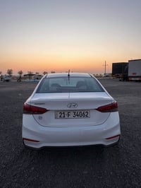أكسنت • ٢٠١٩ • بدون صبغ