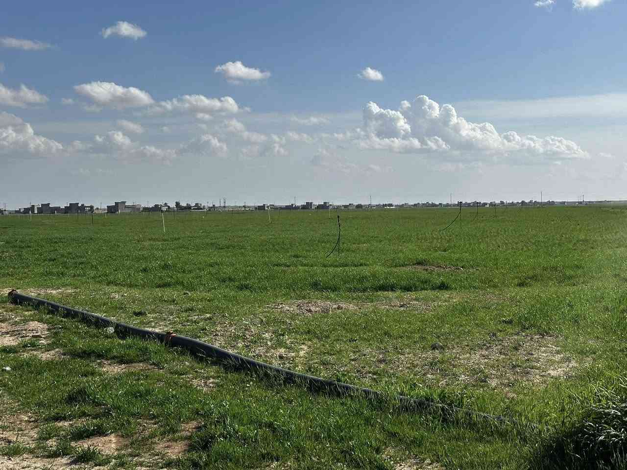 السلام عليكم يوجد كاع قطعتين كل قطعه ٣٢ دونم المجموع ٦٤ دونم إستثمار برية الاكرح مطشوشات كامله من حب وكيماوي وطلوع الحنطة ما شاء اللّٰه غطاسات عدد٢ محولة عدد٢ مرشات كامله ومسجلات بالخطة الزراعيه البيع نقد والمظبوط يرهم ع الموسم صاحب الأرض أحمد المخلف للاستفسار ***********
