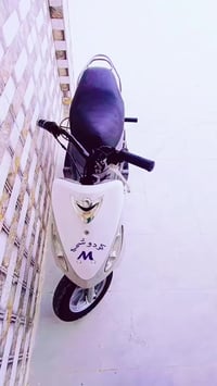 بلادية • ٤٩ • مامفتوح