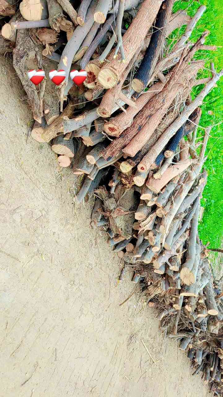 السلام عليكم 
خشب للبيع 
نضيف ويابس 
للاتصال على 
***********
