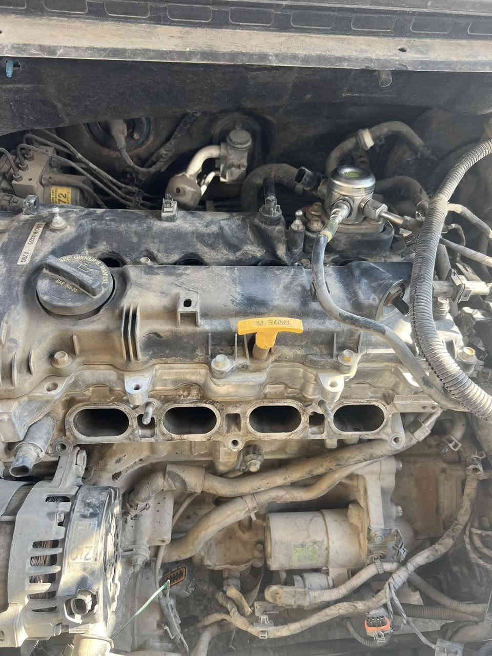 عمل صيانه عامه لمنضومة البانزين ⛽

ورشة مصطفى البديري 

عالم الفيت بم ***********📞

فتح وتنضيف الثلاجه 🎑

تنضيف النوزلات بلجهاز 🗜

فحص البلكات وتبديلهن ⚡

فحص المجاول 💢

تنضيف الجويتر وبرمجته بلجهاز ☑️

فتح قاعده الفيت بم وتبديل الفلاتر 🏮

فحص وتشخيص الاعطال بلجهاز 📠

العنوان 🔖

بغداد الشعله الشارع العام قرب محلات الزركاني🌴 او كماليات ياسين. ♓  @الجميع
