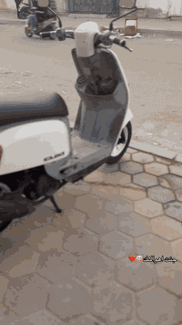 ماكس • بوليصة مفتوحة • كفالة البوشة