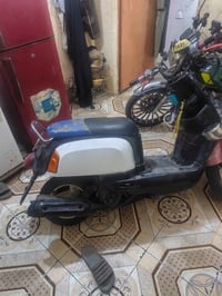 بوليس • محمودية • بيه مجال
