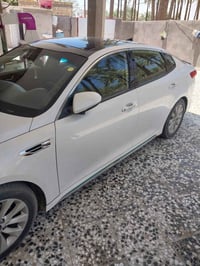 اوبتيما 2018 واحد على واحد امريكي 07735049855