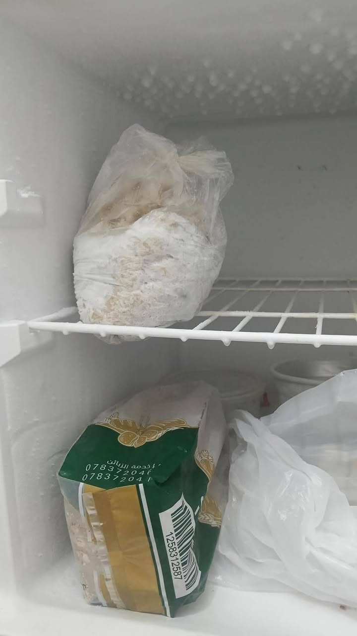 ثلاجه نضيفه شغاله على الفحص تجميد فول السعر ١٧٥ وبي مجال قليل مكانه حي الجهاد


**إذا كنت صاحب هذا الإعلان وتريد حذفه لأي سبب، رجاءا أرسل رسالة إلى الدعم الفني**