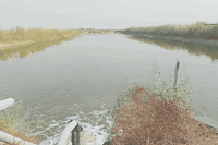 بحيره  للبيع مجازه 10دونم طابو على سند 25 بسمي توجد كافة الخدمات بيها الموقع المدائن سلمان  باك الچ للاستفسار الاتصال على الرقم ***********
