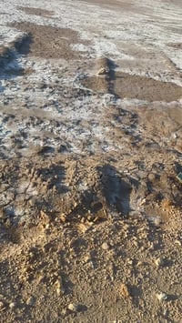 مجمع الربيع • ٢٠٠م • تفصيل داخل المقطع