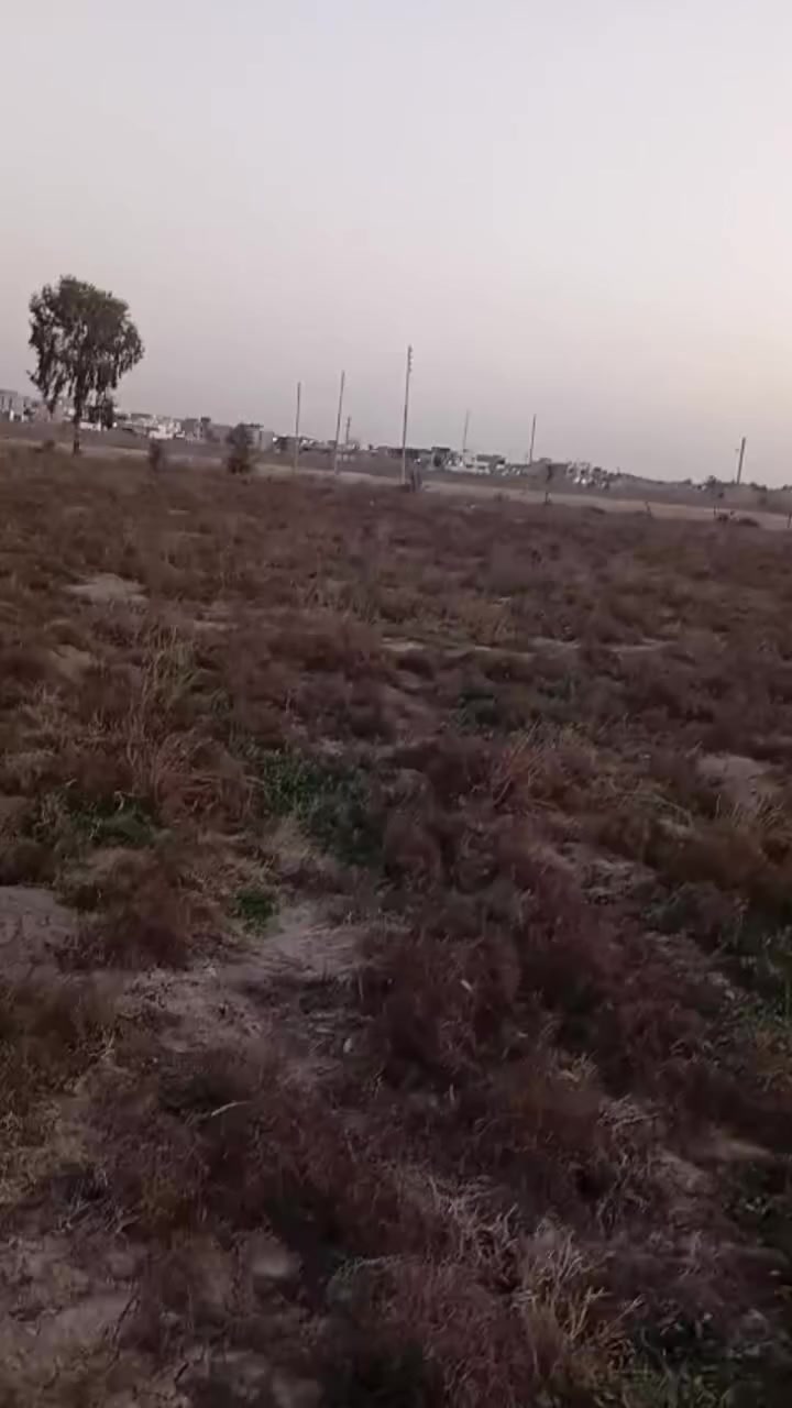 800 متر السادة الحكيم وقف قادري سكنية سعر ال100 متر 6 مليون قابل لتفاوض تواصل ***********
