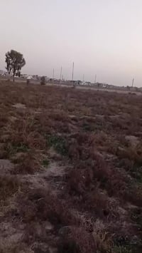 السادة الحكيم • ٨٠٠م • وقف قادري