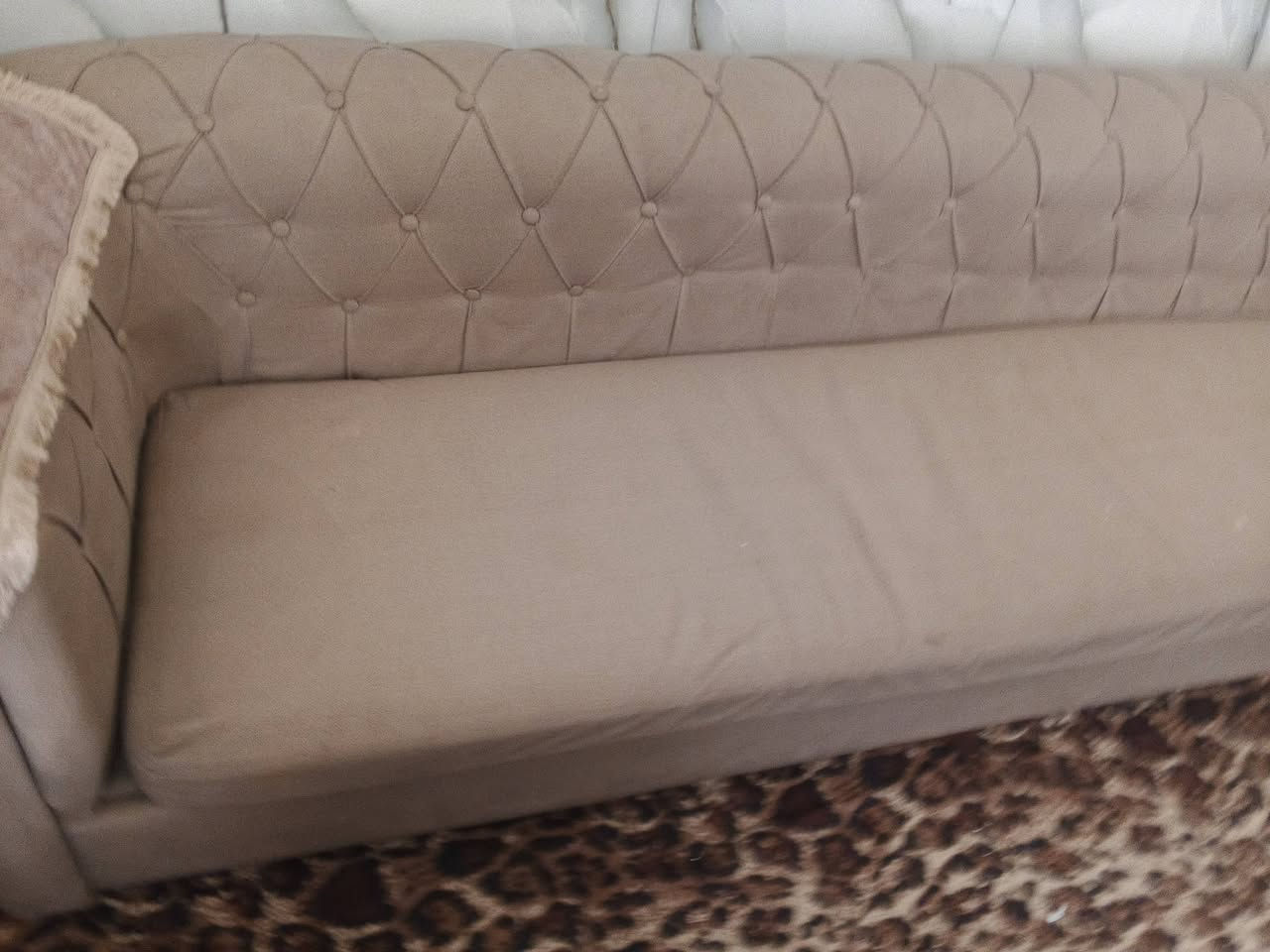 ديوان تركي تفصال ثكيل بدون اي ضرر  8 مقاعد
ماعندي توصيل 175 وبي مجال شراي تعال خاص


**إذا كنت صاحب هذا الإعلان وتريد حذفه لأي سبب، رجاءا أرسل رسالة إلى الدعم الفني**