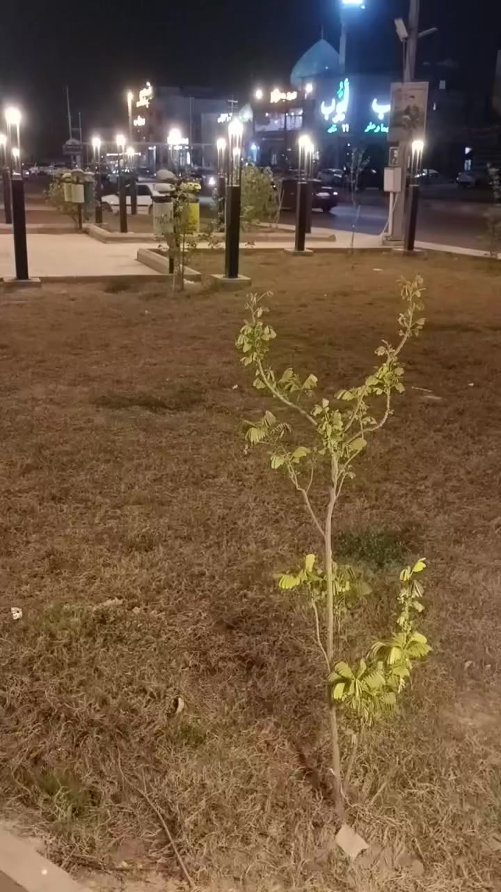 الدراجه للبيع السعر 775بيهة مجال قليل للستفسار***********
