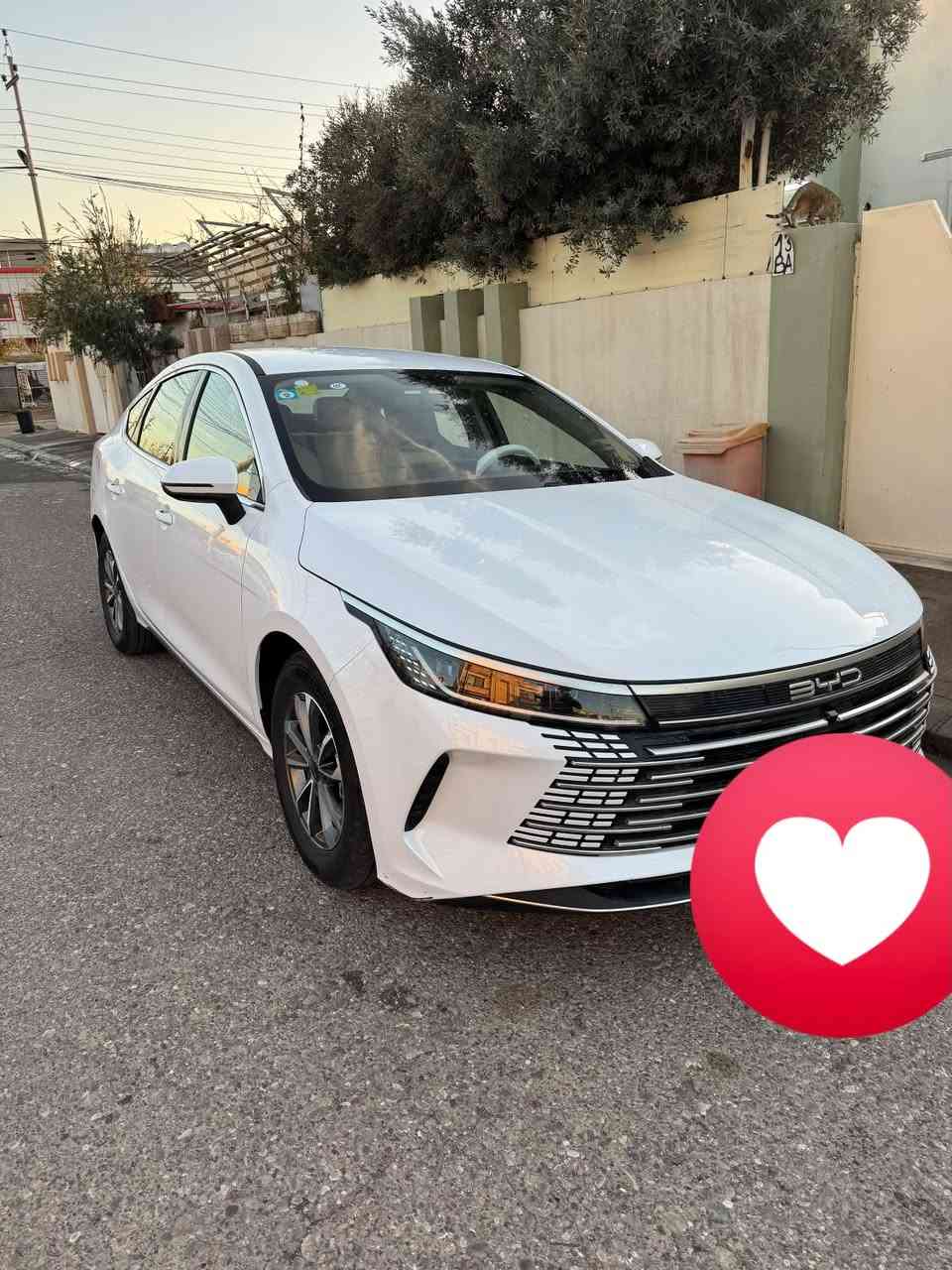 السلام عليكم.
أعرض سيارة BYD للبيع، وأحب أوضح كل تفاصيلها بكل شفافية:

* السيارة بيها حادث سابق كان بالجاملغ الخلفي وجزء بسيط من الحوض.

* وحاليًا صار بيها طگة جديدة بالجاملغ الأمامي، وأكو أثر خفيف بالباب.

* السيارة بعدها ما مصبوغة، وكل آثار الحوادث واضحة وما متعدل عليها.

* تحتاج صبغ للجاملغ الخلفي وجنطة فقط.

السيارة مال جناية، لذلك رجاءً بياع شراي لا يشوفني وجه ومال غدايه طلي ونزلي 5 ورقات ماريدك احركه وماابيعه الك . اللي جاد بالشراء يراسلني بالخاص، وأدزله كل الصور والتفاصيل بدون إخفاء أي شي. رقمي *********** 

علا حطتيه الله شاهد ماصلحت بيه حته لاصير بيه غش سعره من الاخير 12 مليون و400 الف
