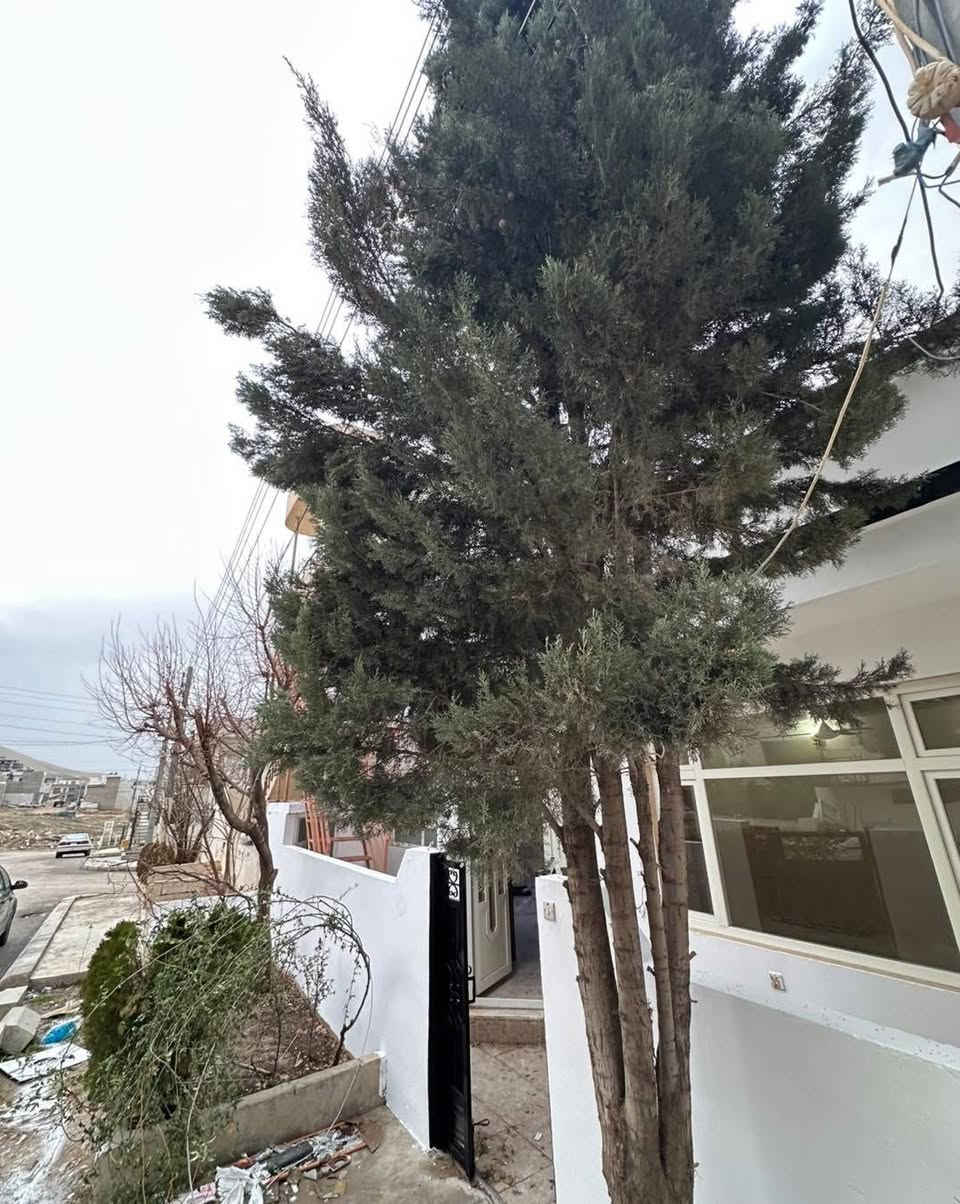 سەرەتا بەناوی خودا 
کۆدی/10924
خانوو بۆ فرۆشتن"یان گۆڕینەوە بە موڵکی تر  
📍ناونیشان/ پشت  مزگەوتی فەجر"
نزیک مارکێتی بەرەکەت
📐ڕوبەر / 100 مەتر
📏پێشی/ 10 بە 10
🛣️شەقامی/ 15 مەتر
🌕 ڕوو / گۆیژە
🏗️پێکهاتوەلە/ 1 نهۆم  
نهۆمی یەکەم  ( میوان + متبخ + مشتملات + 1نوستن + 2ژوری ژێرزەمین ) 

تێبینی ( خانوەکە لەشوێنێکی زۆر خۆش دایە نزیک مزگەوت و قوتاب خانە و خەتی پاس  و مارکێت )
ئاڵو گۆڕ دەکات لەگەڵ موڵكی تر"شوقە+خانوو "زەوی "باخ
ــــــــــــــــــــــ
🖊️/ بۆ زانینی نرخ  کۆمێنت بکە 
ــــــــــــــــــــــــ
بۆ پەیوەندی📞
☎️***********
☎️***********
ـــــــــــــــــــــــــــ
تۆی بەڕێز موڵکت هەیە دەتەوێت بیفڕۆشیت یان بیدەیت بەکرێ زانیاریەکانمان بۆ بنێرە هاوکارتان دەبین 
‏‎*********** ☎️واتس ئاپ"فایبەر 
‏‎یان سەردانی نوسینگەی(جوانی موڵك)بكەن
‏‎ناونیشان"ئیبراهیم ئەحمەد"بەرامبەر دیلان سیتی
