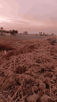 اتصل وتدلل ٠٧٨١١٠٤٢٥٨٧ دوانم بكل مكان التاجي وسبع البور والبصام ابوغري...